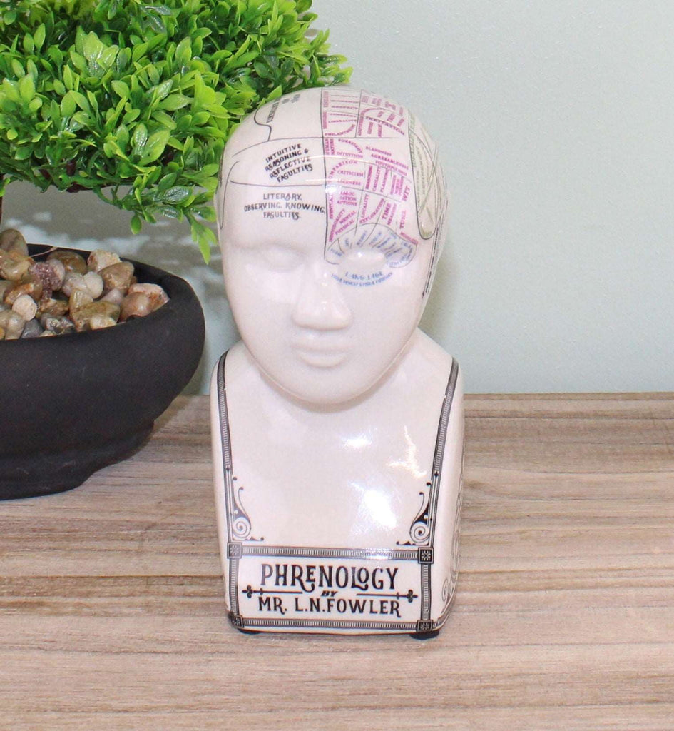 Small Ceramic Crackle Phrenology Head Geko Products