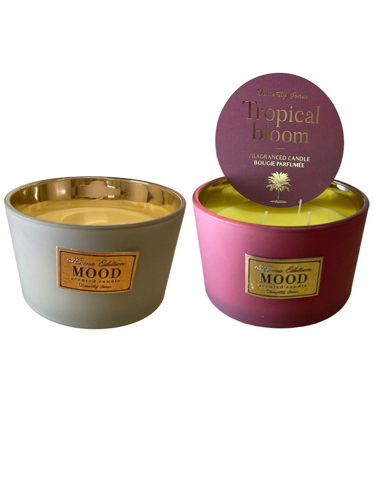 3 Wick Scented Candle, Pack of 2 Geko Products