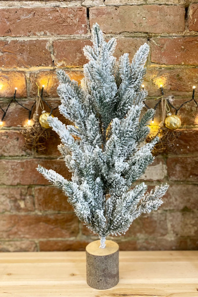 Tall Frosted Christmas Tree In Log 56cm Geko Products