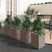 vidaXL Garden Planters 2 pcs Dark Grey 30x30x37 cm Polypropylene brown 4 vidaXL