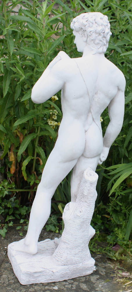 Stone Effect David Statue Geko Products