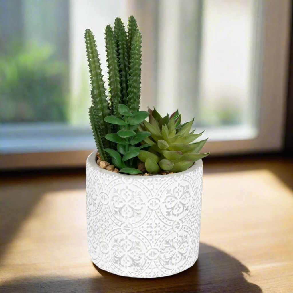 Succulents In Aztec Embossed Pot Geko Products