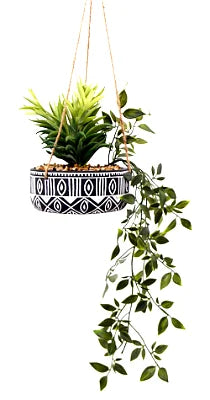 Black Ceramic Hanging Pot with Plants - Shades 4 Seasons