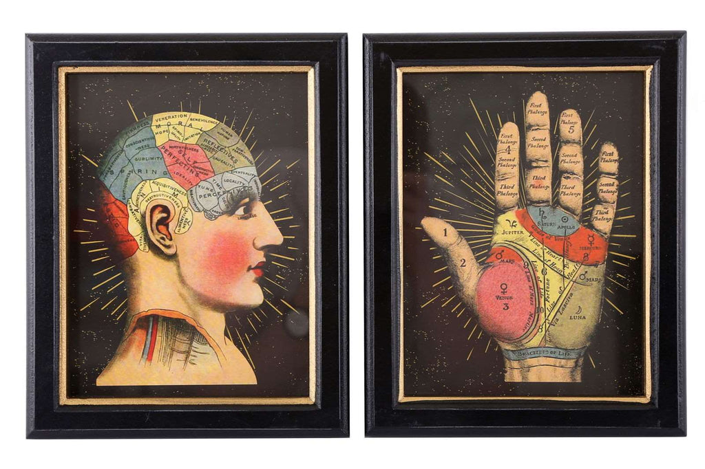 Set of 2 Phrenology Framed Prints 25cm Geko Products