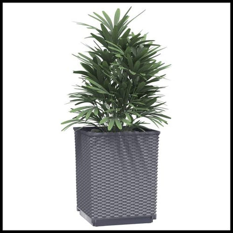 vidaXL Garden Planters 2 pcs Dark Grey 30x30x37 cm Polypropylene vidaXL