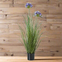 Agapanthus Plant - Stylish Potted Greenery by Shades 4 Seasons BLUE PLASTIC Shades 4 Seasons