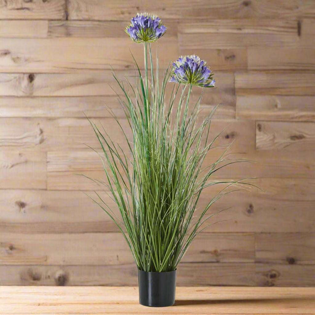 Agapanthus Plant - Stylish Potted Greenery by Shades 4 Seasons BLUE PLASTIC Shades 4 Seasons