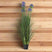 Shades 4 Seasons Agapanthus Plant in Potted Decor BLUE PLASTIC Shades 4 Seasons