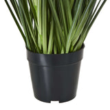 Shades 4 Seasons Agapanthus Plant in Potted Decor Shades 4 Seasons