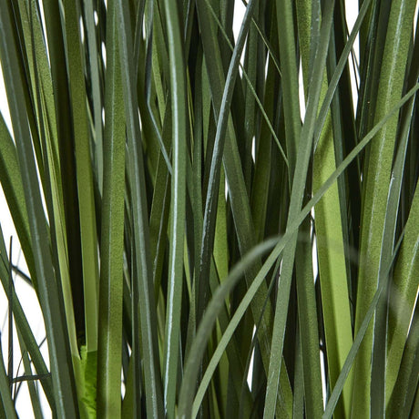 Shades 4 Seasons Agapanthus Plant in Potted Decor Shades 4 Seasons