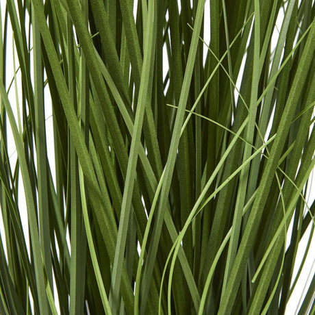 Agapanthus Plant - Stylish Potted Greenery by Shades 4 Seasons Shades 4 Seasons