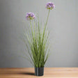 Shades 4 Seasons Agapanthus Plant in Potted Greenery GREEN PLASTIC Shades 4 Seasons