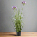 Shades 4 Seasons Agapanthus Plant in Potted Greenery GREEN PLASTIC Shades 4 Seasons