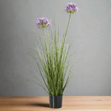 Shades 4 Seasons Agapanthus Plant in Potted Greenery GREEN PLASTIC Shades 4 Seasons