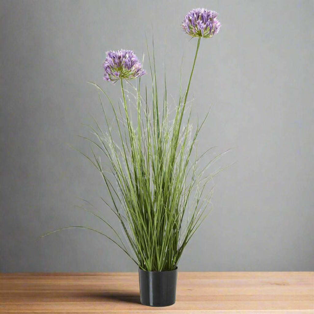 Shades 4 Seasons Agapanthus Plant in Potted Greenery GREEN PLASTIC Shades 4 Seasons