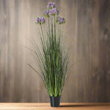 Large Purple Agapanthus Plant In Pot GREEN PLASTIC Shades 4 Seasons