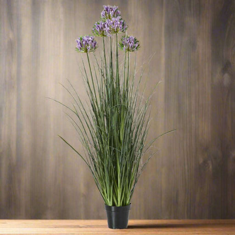 Large Purple Agapanthus Plant In Pot GREEN PLASTIC Shades 4 Seasons