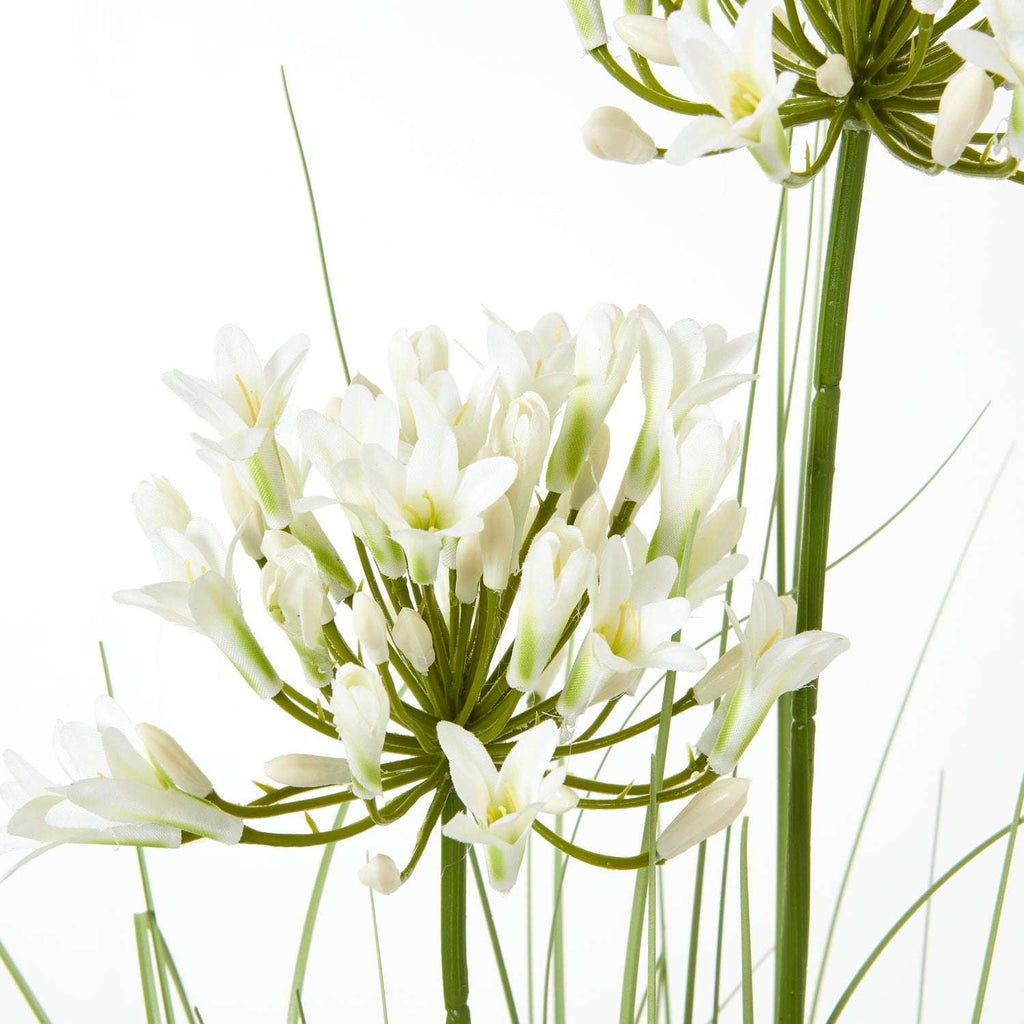 Agapanthus Plant - Stylish Potted Artificial Flower Shades 4 Seasons