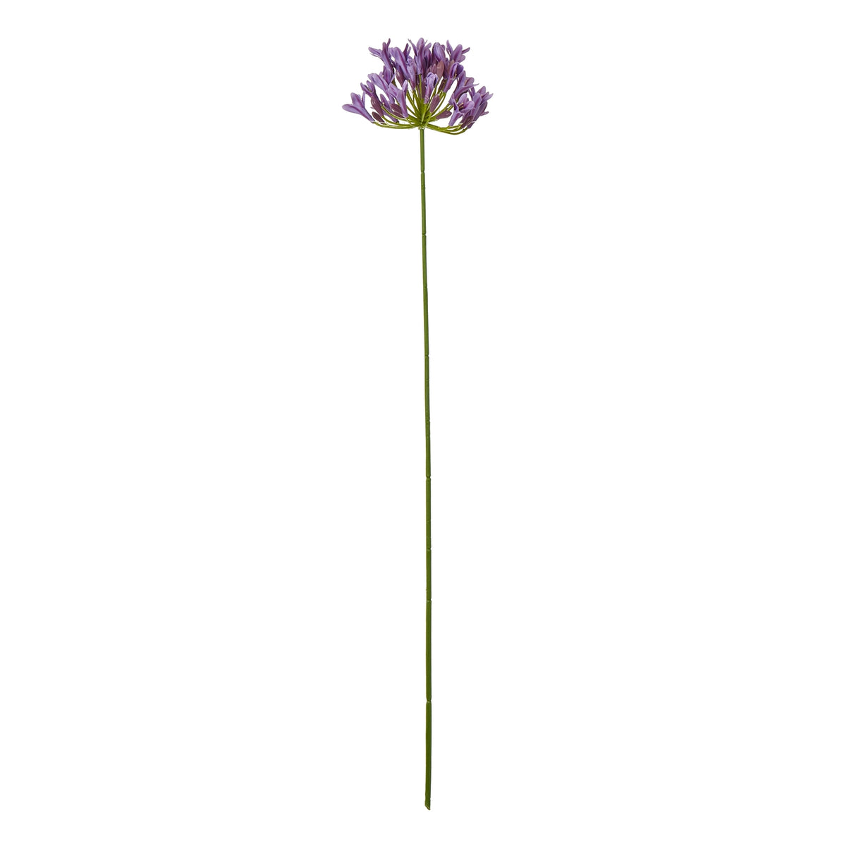 Shades 4 Seasons Agapanthus Spray for Stylish Decor Lilac PLASTIC Shades 4 Seasons