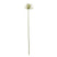 Shades 4 Seasons Agapanthus Spray for Home Decor CREAM PLASTIC Shades 4 Seasons