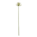 Shades 4 Seasons Agapanthus Spray for Home Decor CREAM PLASTIC Shades 4 Seasons