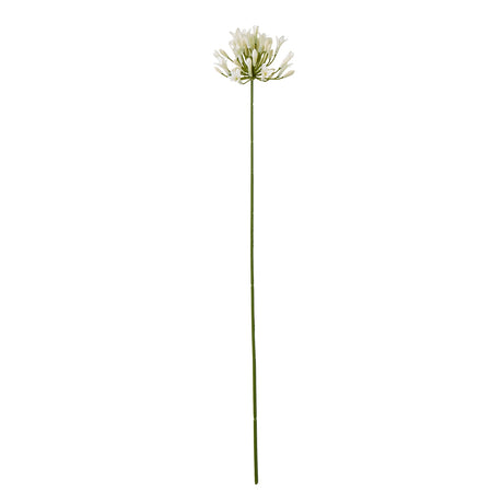Shades 4 Seasons Agapanthus Spray for Home Decor CREAM PLASTIC Shades 4 Seasons