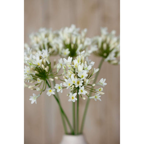 Shades 4 Seasons Agapanthus Spray for Home Decor Shades 4 Seasons