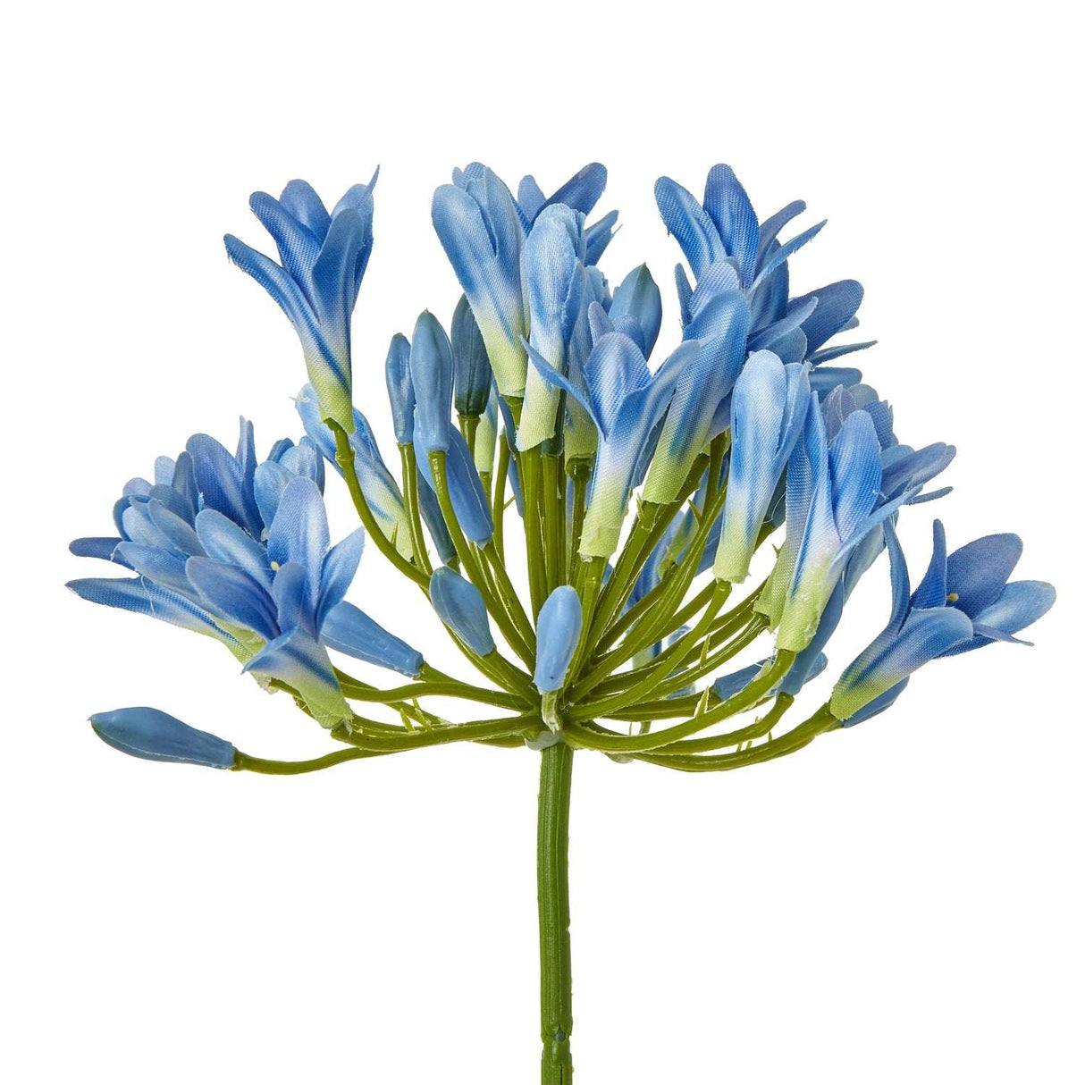 Shades 4 Seasons Agapanthus Stem for Elegant Decor Shades 4 Seasons