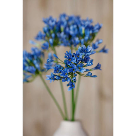 Shades 4 Seasons Agapanthus Stem for Elegant Decor Shades 4 Seasons