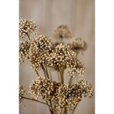 Shades 4 Seasons Allium Spray for Stylish Home Decor Shades 4 Seasons