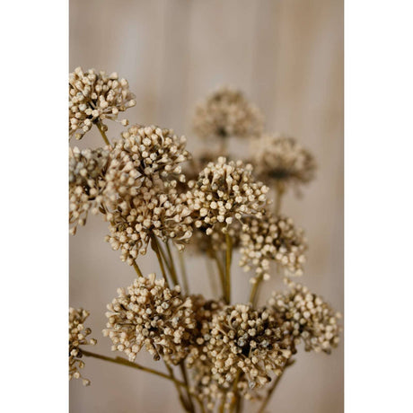 Shades 4 Seasons Allium Spray for Stylish Home Decor Shades 4 Seasons