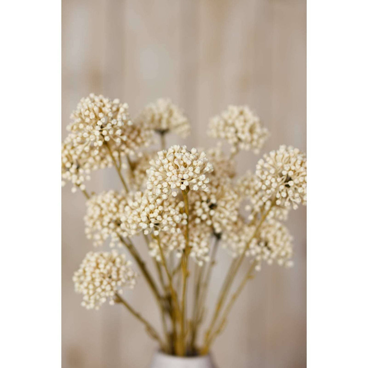 Shades 4 Seasons Allium Spray for Elegant Decor Shades 4 Seasons