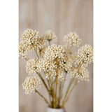 Shades 4 Seasons Allium Spray for Elegant Decor Shades 4 Seasons
