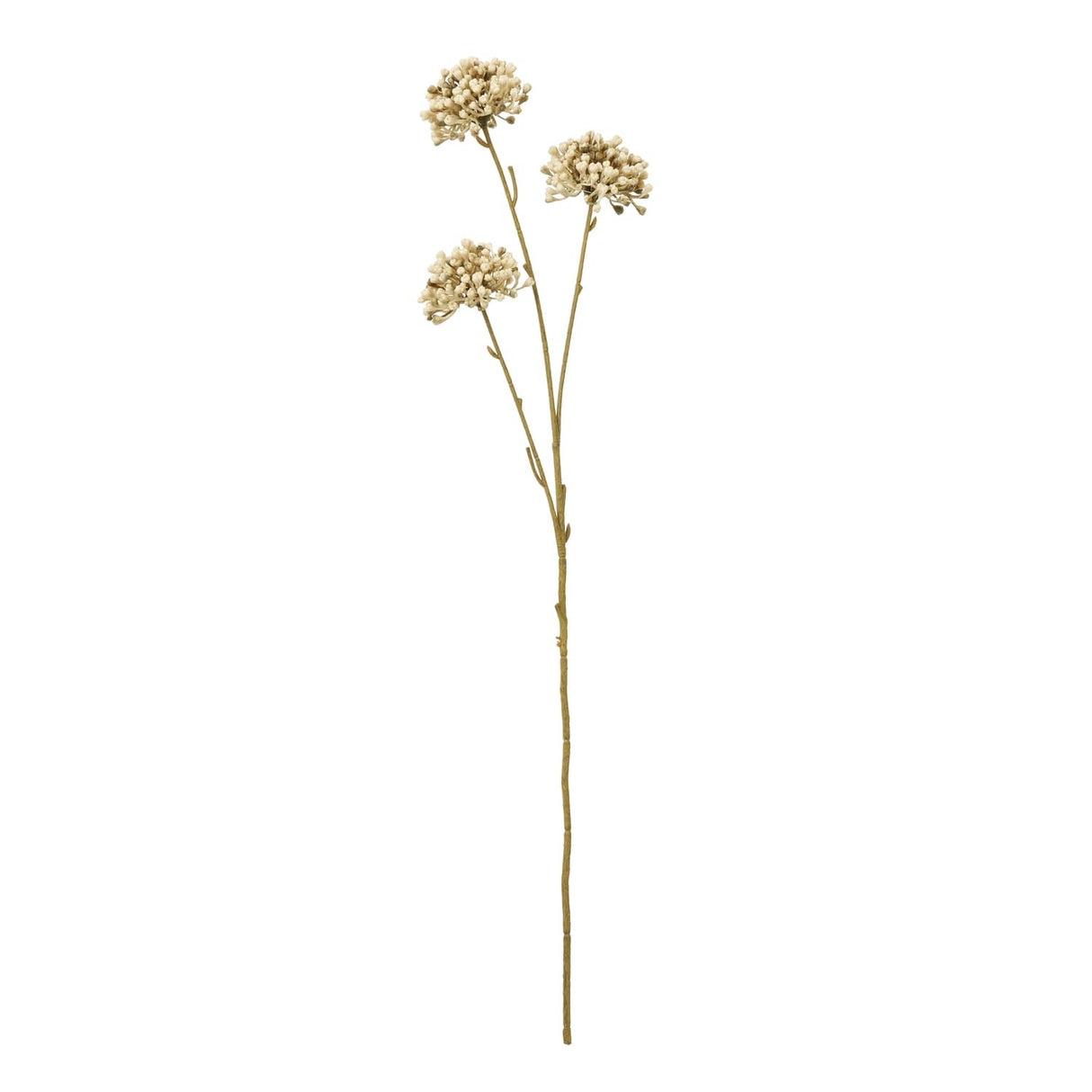 Shades 4 Seasons Allium Spray for Stylish Home Decor BROWN PLASTIC Shades 4 Seasons
