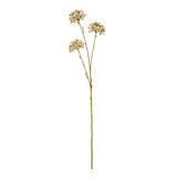 Shades 4 Seasons Allium Spray for Stylish Home Decor BROWN PLASTIC Shades 4 Seasons