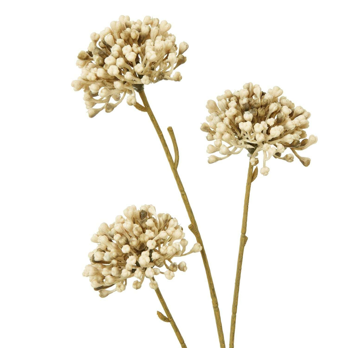 Shades 4 Seasons Allium Spray for Stylish Home Decor Shades 4 Seasons