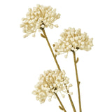 Shades 4 Seasons Allium Spray for Elegant Decor Shades 4 Seasons