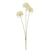 Shades 4 Seasons Allium Spray for Elegant Home Decor CREAM PLASTIC Shades 4 Seasons