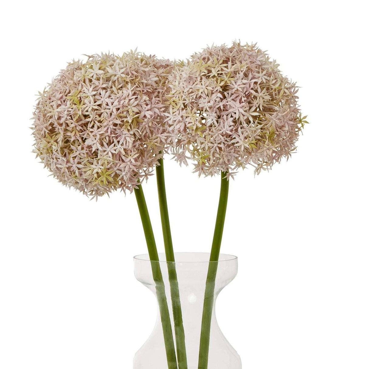 Shades 4 Seasons Allium Stem for Stylish Decor Shades 4 Seasons