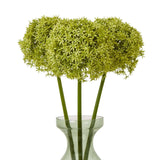Shades 4 Seasons Allium Stem - Stylish Greenery Decor Shades 4 Seasons