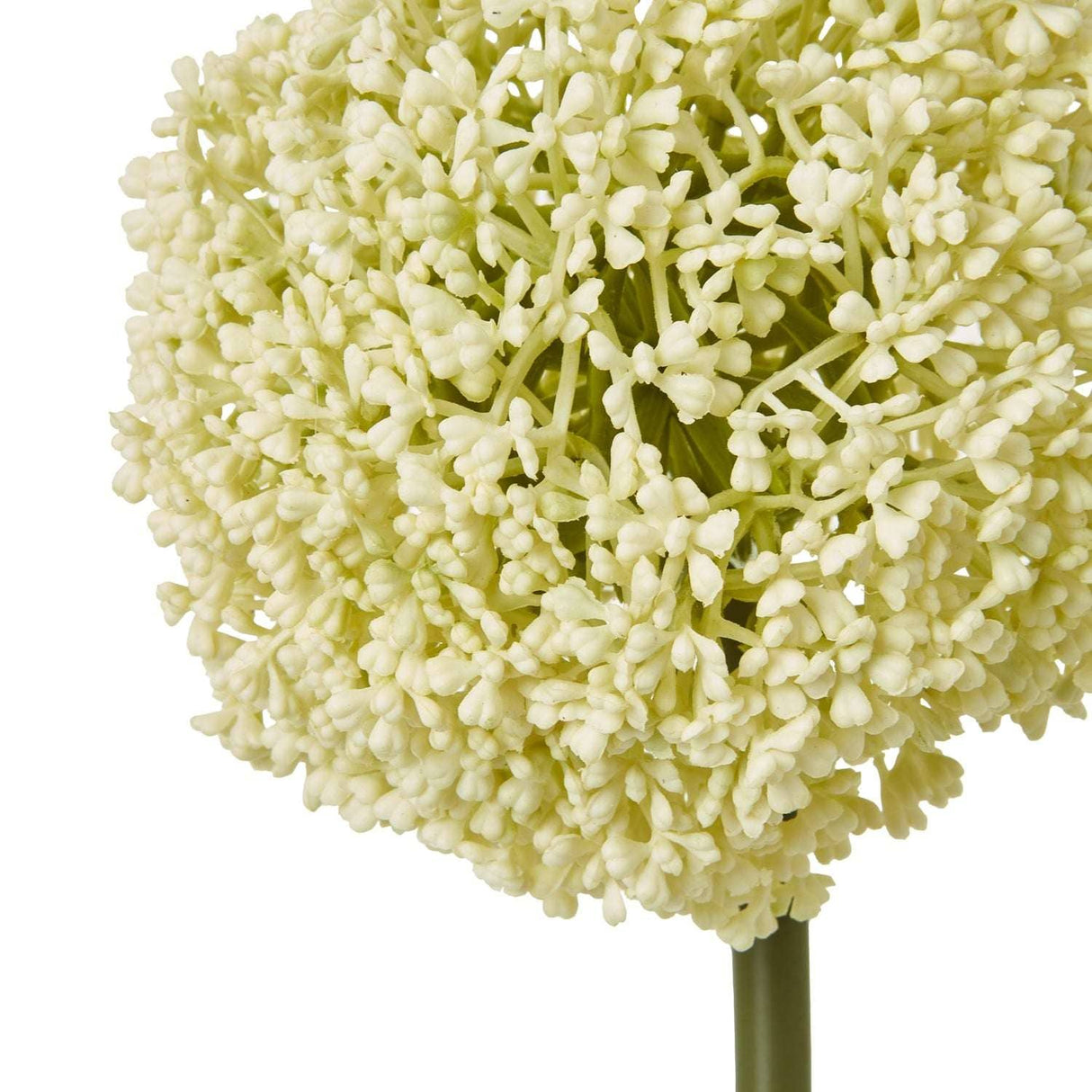 Shades 4 Seasons Allium Stem for Elegant Home Decor Shades 4 Seasons