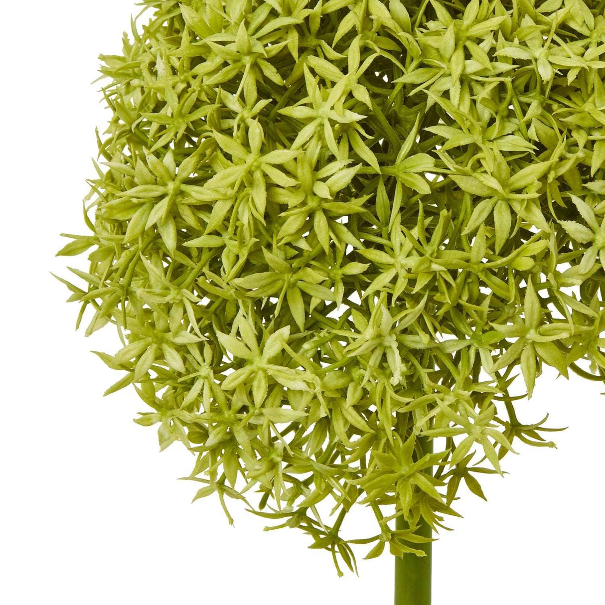 Shades 4 Seasons Allium Stem - Stylish Greenery Decor Shades 4 Seasons