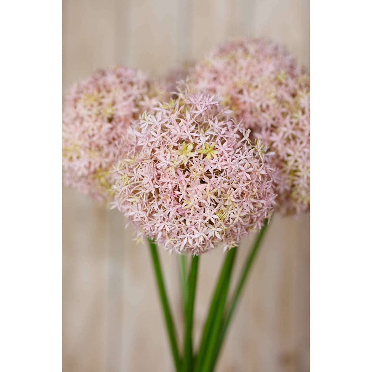 Shades 4 Seasons Allium Stem - Elegant Artificial Flower Shades 4 Seasons