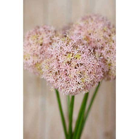 Shades 4 Seasons Allium Stem - Elegant Artificial Flower Shades 4 Seasons
