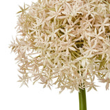 Shades 4 Seasons Allium Stem for Stylish Decor Shades 4 Seasons