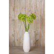 Shades 4 Seasons Allium Stem - Stylish Greenery Decor Shades 4 Seasons
