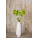 Shades 4 Seasons Allium Stem - Stylish Greenery Decor Shades 4 Seasons