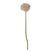 Shades 4 Seasons Allium Stem for Stylish Decor Lilac PLASTIC Shades 4 Seasons