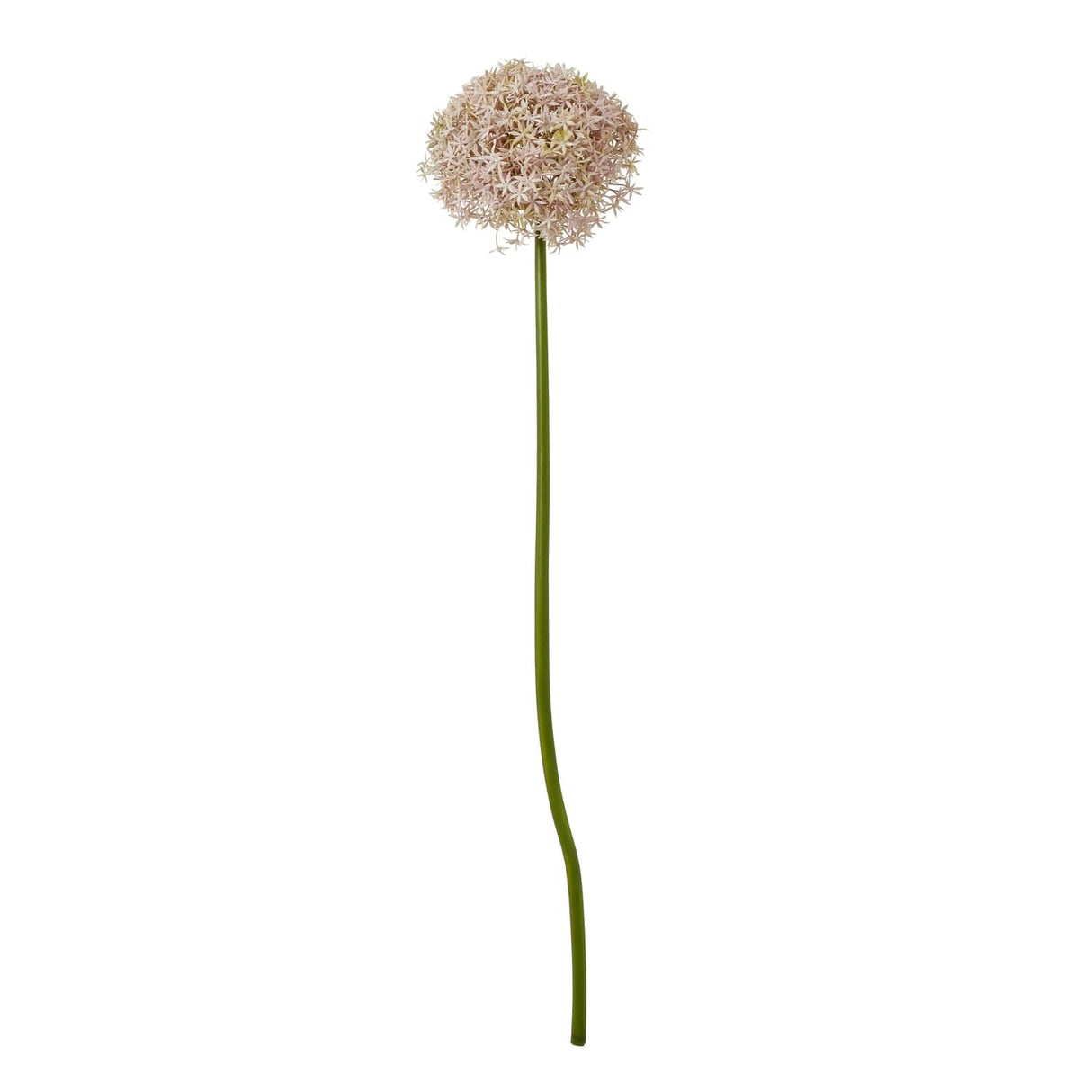 Shades 4 Seasons Allium Stem for Stylish Decor Lilac PLASTIC Shades 4 Seasons