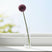 Shades 4 Seasons Allium Stem for Stylish Home Decor PURPLE PLASTIC Shades 4 Seasons